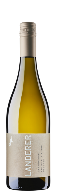 Oberrotweil Sauvignon Blanc trocken (0,75 Liter), Ortsweine